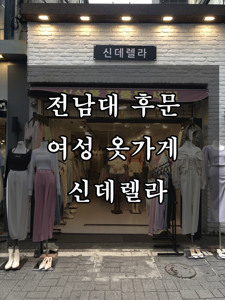  전남대 여성 옷 가게 신데렐라