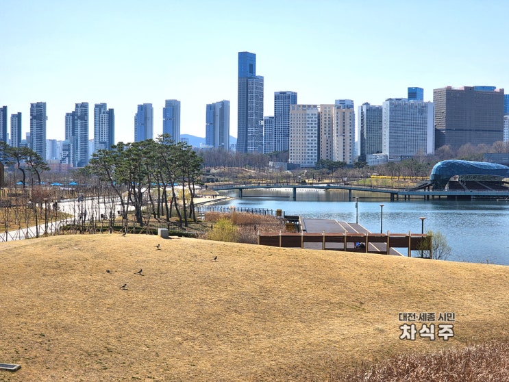  4월 세종시 가볼만한곳 세종호수공원