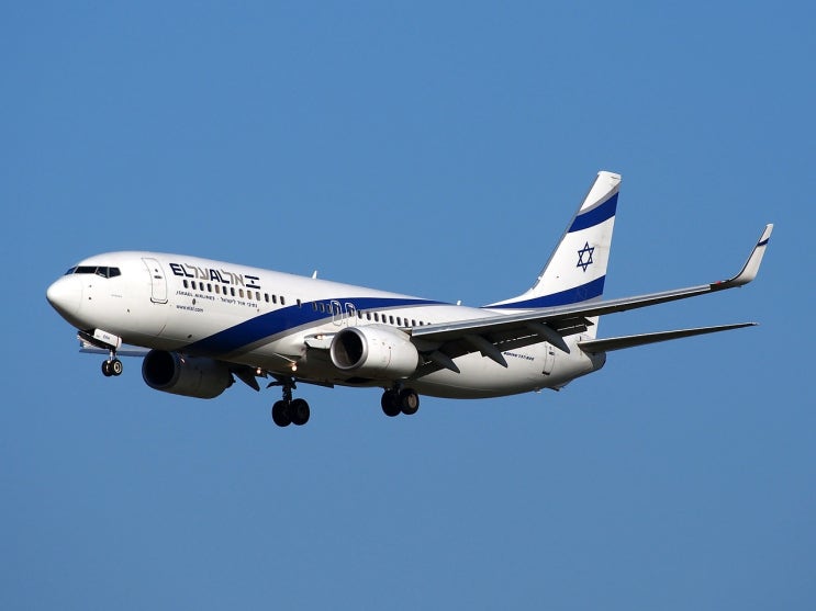  [교범]B737 테일스키드의 구조 (Boeing 737-800 Tail Skid)