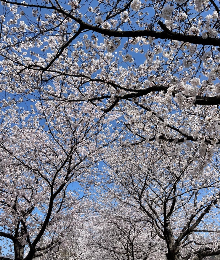  전주 만성동 필라테스 그룹레슨 개인레슨 모두 할 수 있는 신규 수강권 런칭해요 !!