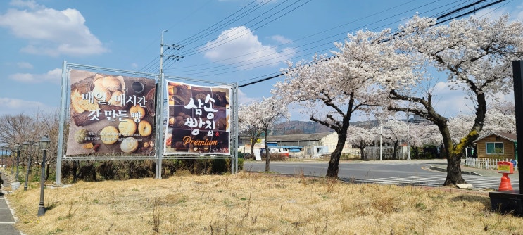  황리단길맛집 경주빵집 삼송빵집 오픈 방문 후기