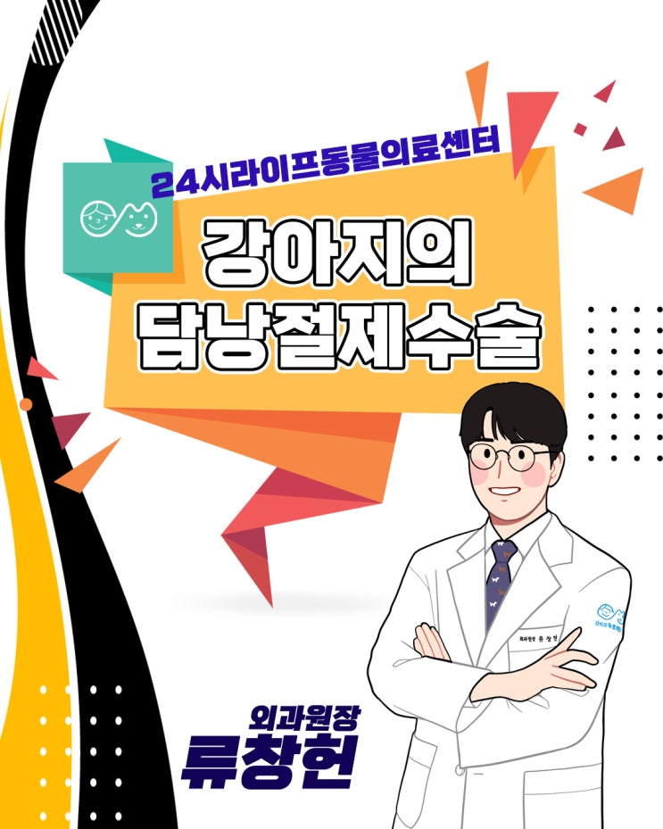 대구 강아지 담낭제거수술 궁금해요! : 강아지 담낭 절제 수술 알아보기 24시라이프동물의료센터 대구 강아지 담낭제거수술 궁금해요! : 강아지 담낭 절제 수술 알아보기 24시라이프동물의료센터