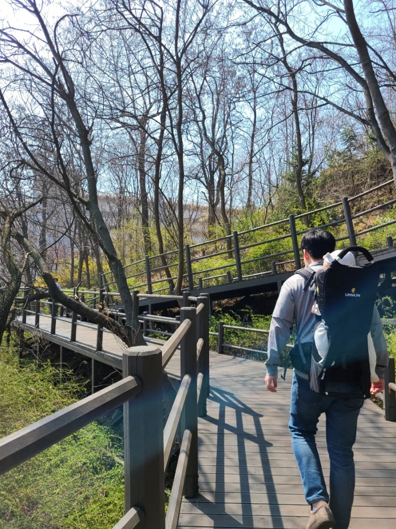 * 리틀라이프 유아등산캐리어 사용후기 1탄 : 6개월 아기랑 함께 한 봄나들이 (+new컬러 블랙) *