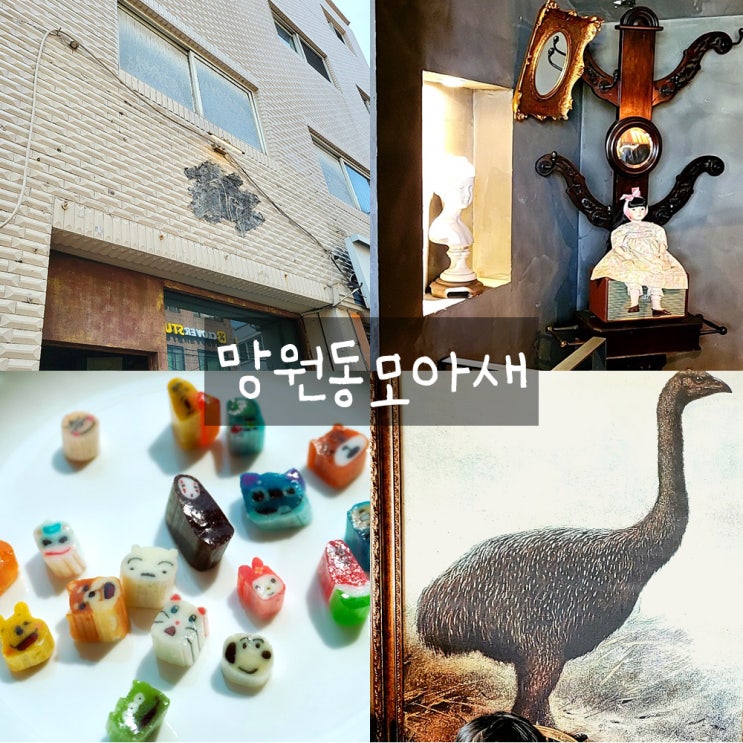 망원동모아새 : 모아새,귀여운캐릭터수제캔디 망원동모아새 : 모아새,귀여운캐릭터수제캔디