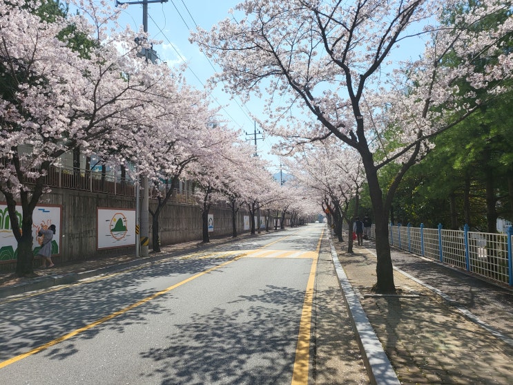  데이트