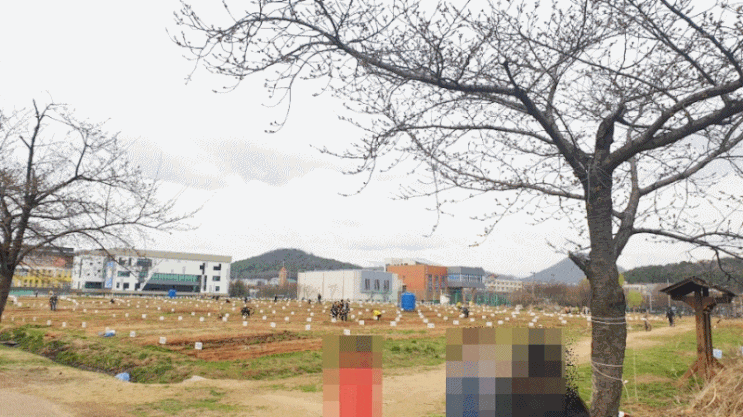  주말농장체험, 밭을 갈고 온건지 나를 갈고 온건지 ㅋㅋ