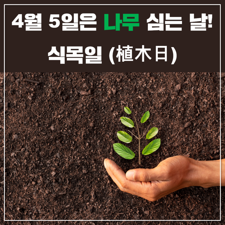 [인투에듀 TMI] 4월 5일은 <b>나무</b> 심는 날! <b>식목일</b> (植木日)