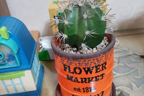 산에물에꽃집 이미지