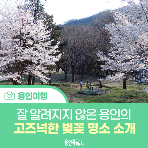 고즈넉한 벚꽃 산책로 '은이성지'와 '<b>미리내성모성심수녀회</b>'