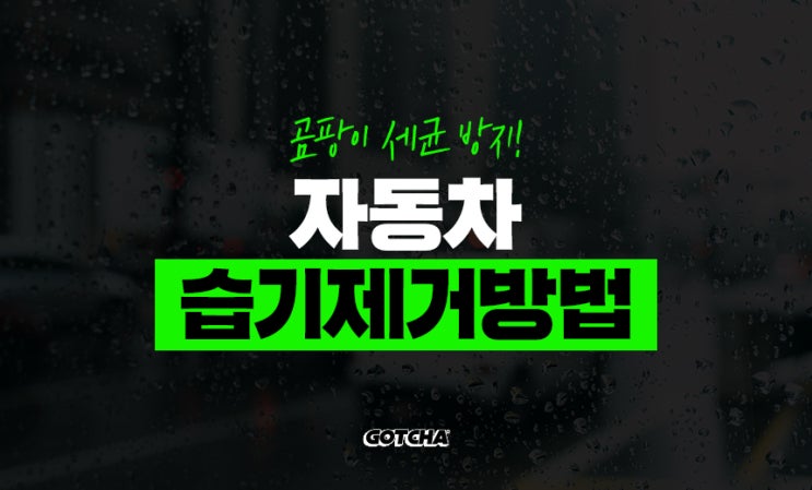  곰팡이 세균 멈춰! 초간단 자동차 습기 제거 방법