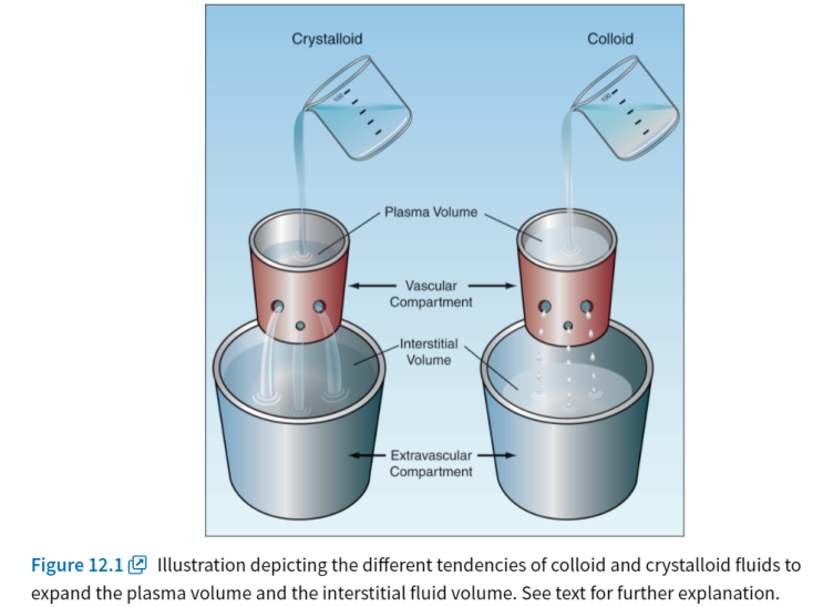 Crystalloid vs Colloid (수액 종류)