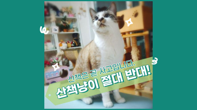  고양이 산책, 절대 반대하는 주관적인 이유