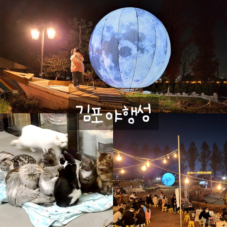 김포 야행성 : 김포 아이와가볼만한곳,고양이카페