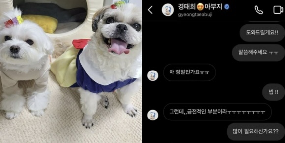  경태희 실제 병원비, 현재 강아지들 상태는?