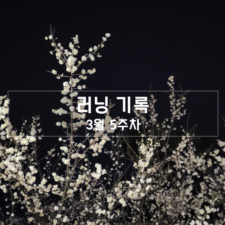  [2022년 3월 5주] - 러닝 기록