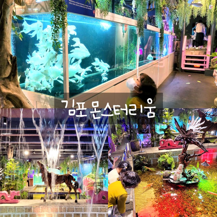 김포몬스터리움 : 동물먹이체험, 아쿠아리움,파충류,김포아이와가볼만한곳 김포몬스터리움 : 동물먹이체험, 아쿠아리움,파충류,김포아이와가볼만한곳