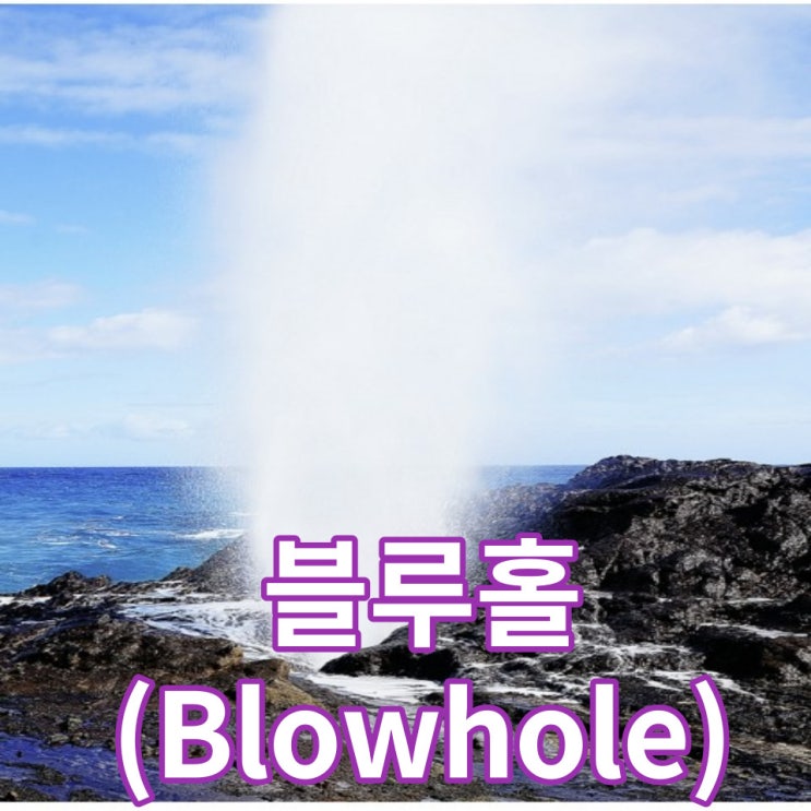  니가 가라 하와이 폴리네시안 문화 센터(PCC) 방문 후기와 블루홀,할로나 비치