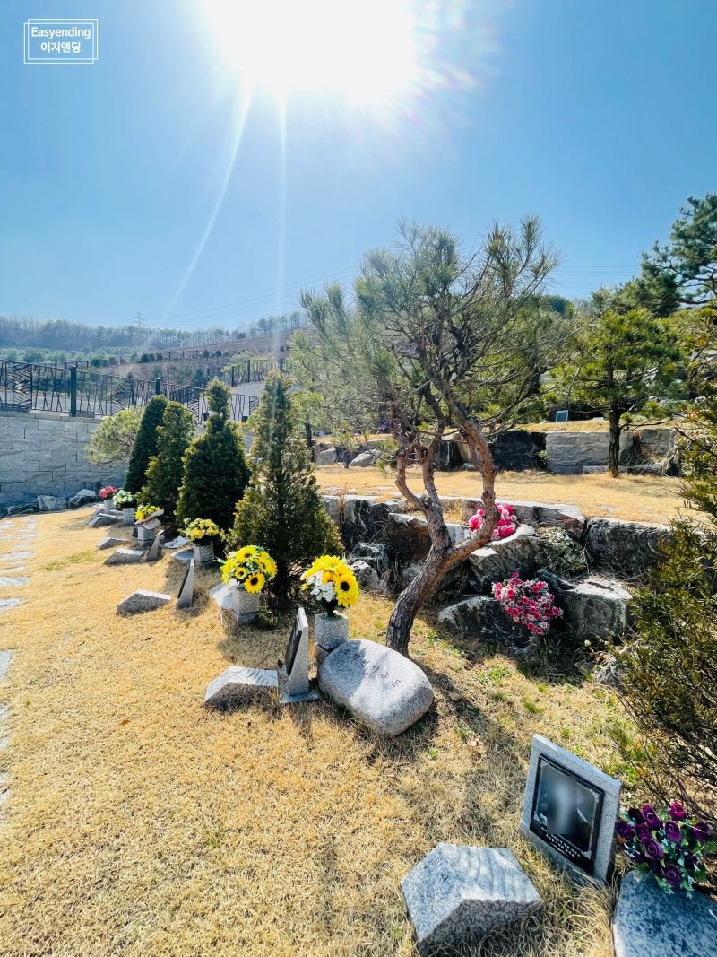 용인공원묘지 - 경기도 명당묘원 가족묘, 봉안묘, 평장묘 (+비용가격 안내) : 네이버 블로그
