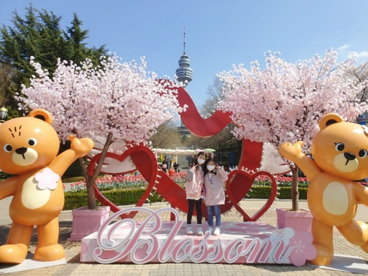 대구이월드벚꽃축제 출동해 봤습니다. 대구이월드벚꽃축제 출동해 봤습니다.