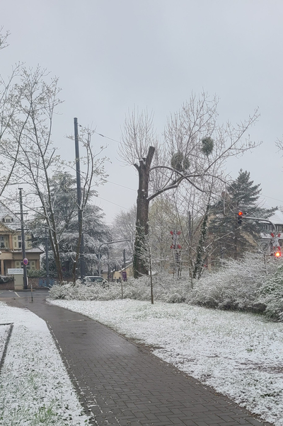 눈이 하루종일 펑펑 내렸던 독일의 만우절 Aprilscherz