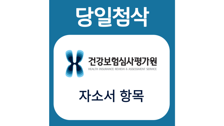 건강보험심사평가원 채용 자기소개서 문항 자소서 항목 작성방법 가이드라인 첨삭받기 (+건강보험심사평가원 채용직무 NCS기반직무기술서) 건강보험심사평가원 채용 자기소개서 문항 자소서 항목 작성방법 가이드라인 첨삭받기 (+건강보험심사평가원 채용직무 NCS기반직무기술서)