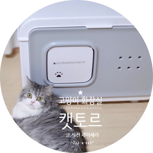  세균 먼지 걱정 이제 그만! 캣토르 UV살균 대형 고양이 화장실 추천!