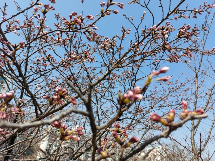 &lt;한국가곡&gt; 비목 초연히 쓸고간 깊은 계곡 가사 피아노반주