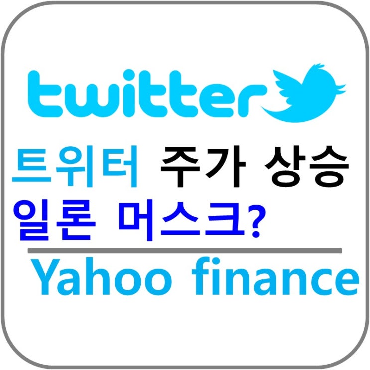  트위터 주가 상승! 일론 머스크 주식 매입?!