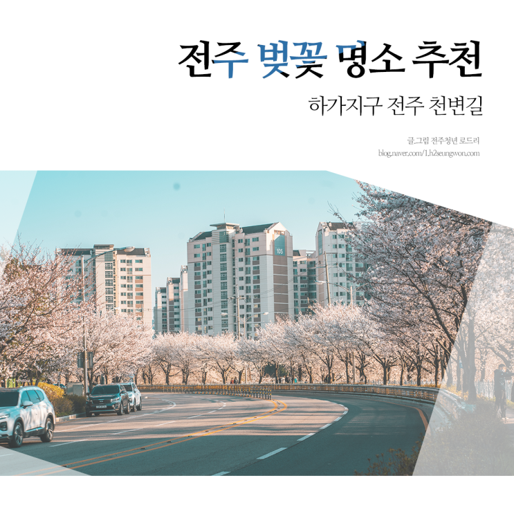  전주 벚꽃 실시간 명소 추천 : 하가지구 천변길