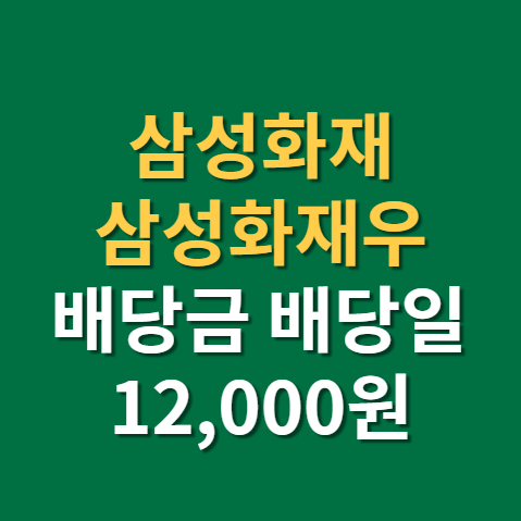  삼성화재 배당금 지급일 배당일 주가 전망 실적 확인(f. 워렌버핏, 삼성화재우, 가이코)