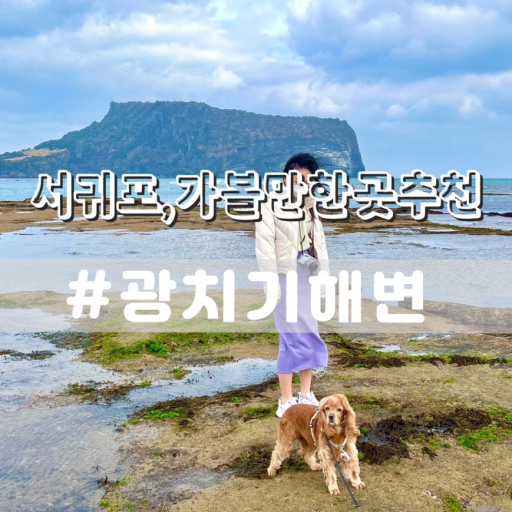  광치기해변/ 성산일출봉근처 유채꽃밭 서귀포가볼만한곳 추천