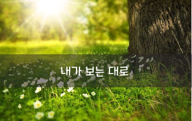  내가 보는 대로