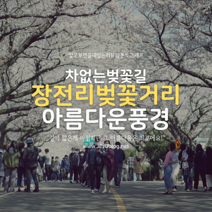  장전리벚꽃축제 아쉬움을 뒤로 하고... 차없는 벚꽃길 장전리벚꽃 풍경을 전해요!
