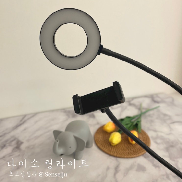 다이소 링라이트 실사용후기 & 촬영결과물비교 다이소 링라이트 실사용후기 & 촬영결과물비교