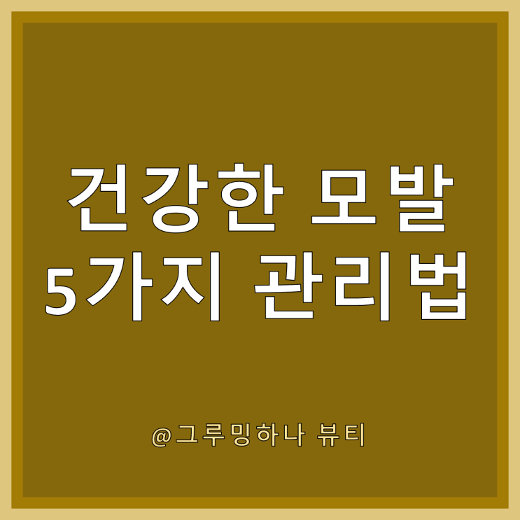  건강한 머리카락을 위한, 초간단 모발 굵어지는 법 5가지