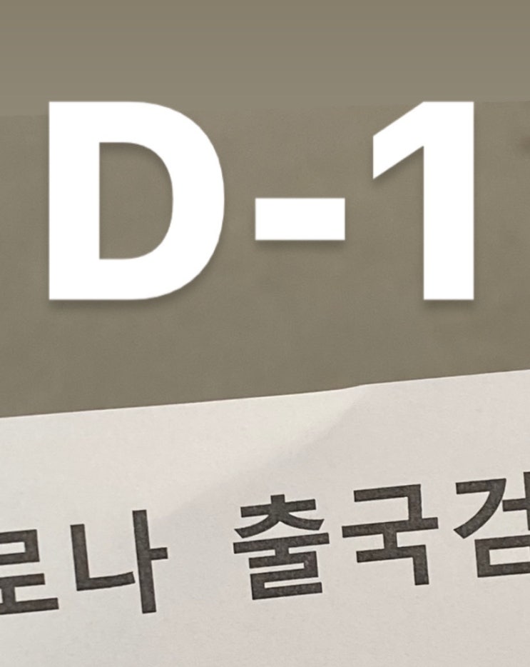  출국 D-1 ️