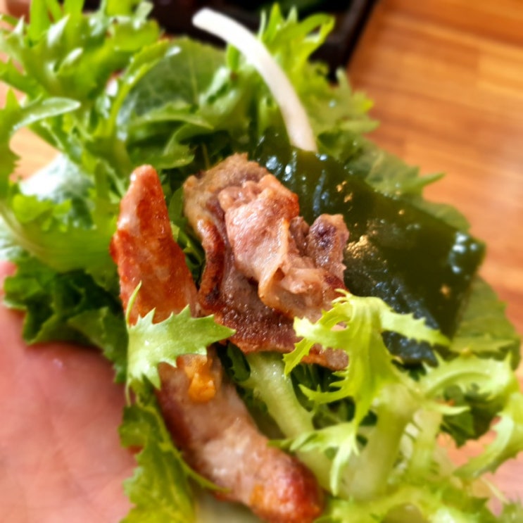  모다아울렛 맛집 거북이 쌈밥