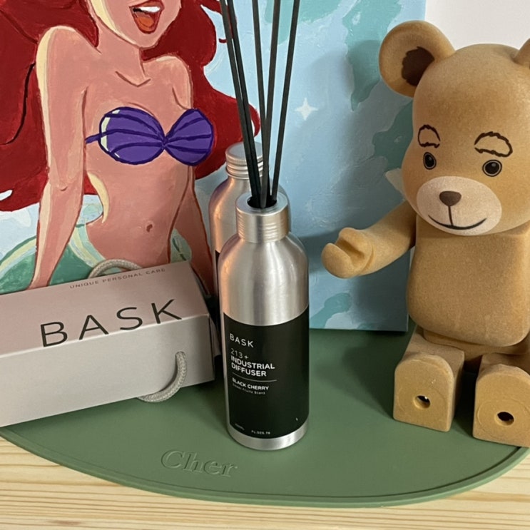  :::바스크 디퓨저::: 인테리어 방향제 추천!