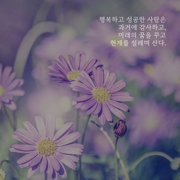  [공지] 수학을 찾는 사람들 수업 및 상담 안내