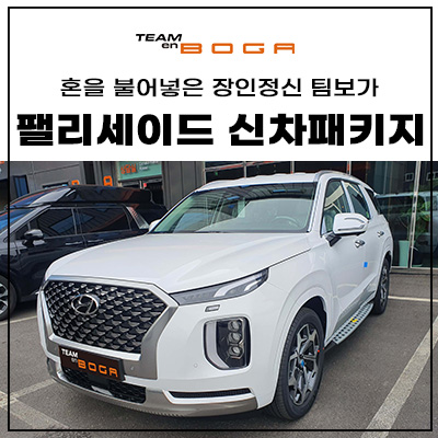  팰리세이드 신차패키지 가격 알아보기