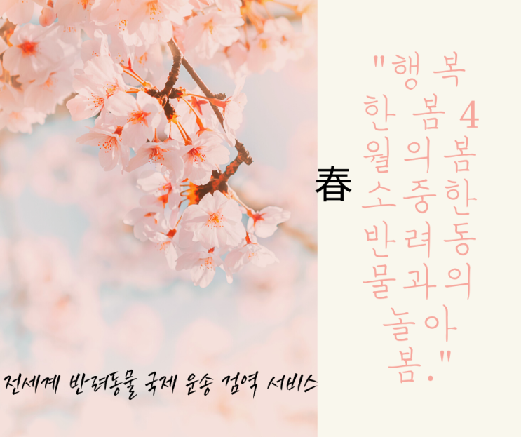  반려동물 강아지 고양이 반려견 반려묘 대형견 애견 애묘 국제 해외운송 [미국출장공지]