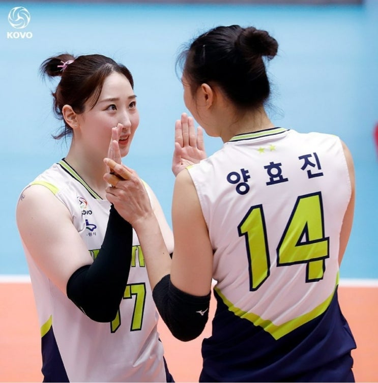 여자배구 <b>FA</b>, <b>현대건설</b> 배구단에는 솔로몬의 지혜가... <b>양효진</b>... 