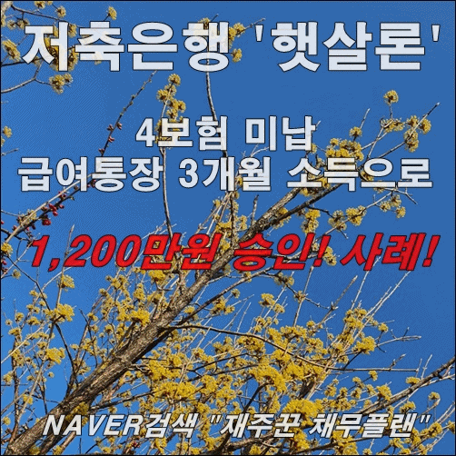  4대보험 미납 직장인 햇살론 승인 사례