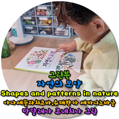  그린북 자연의 모양 Shapes and patterns in nature