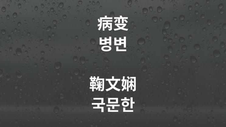  病变 병변 - 鞠文娴 국문한