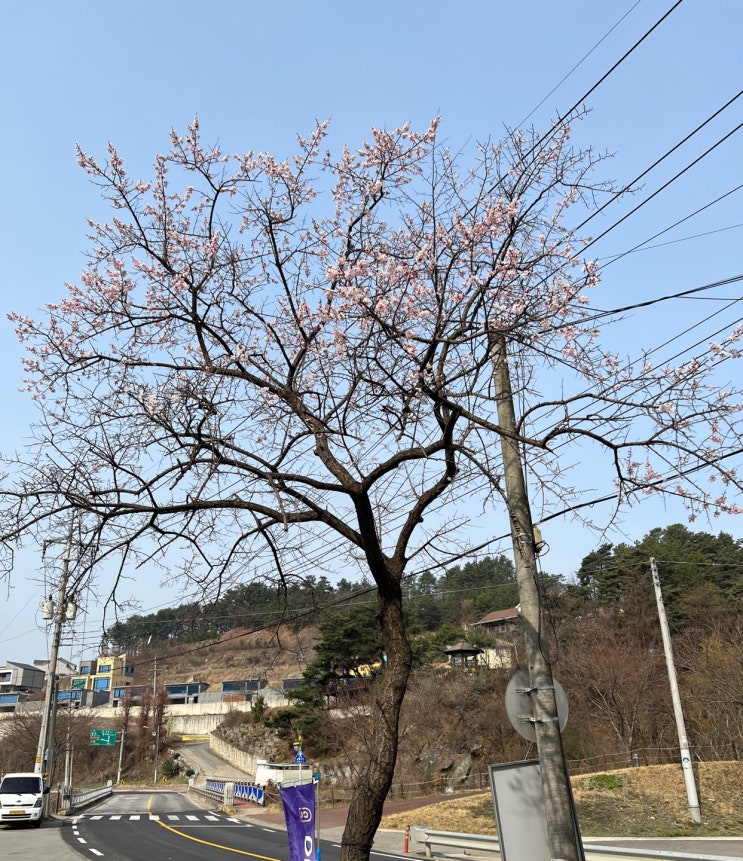  양평타운하우스/타운하우스/바우나래/청계리/전원주택/단독주택/모형도
