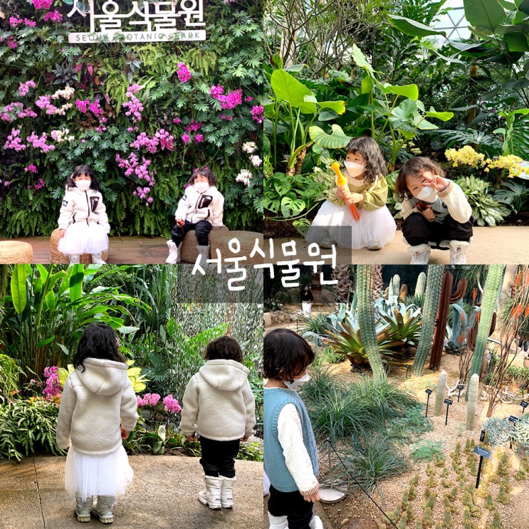 마곡식물원 : 아이랑실내,서울근교가기좋은곳