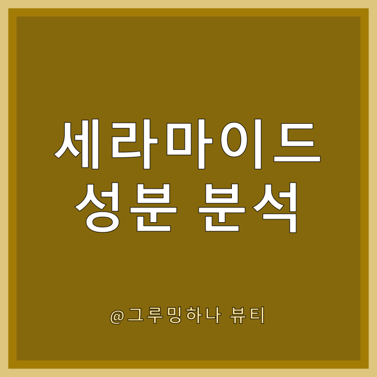  피부 장벽 무너짐 강화에 세라마이드