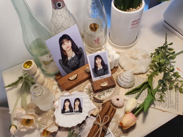  연남동 증명사진 후기 :프레임미 스튜디오 자연스러운 보정으로 증명사진 잘 찍는 곳!