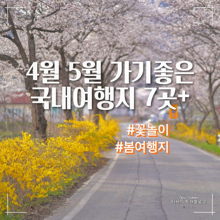  4월 5월 국내여행지 추천 7곳, 꽃놀이 봄여행지